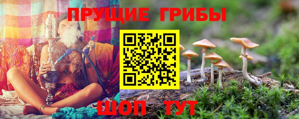 Тамбов  Галлюциногенные грибы MAGIC MUSHROOMS  Вход с VPN 
